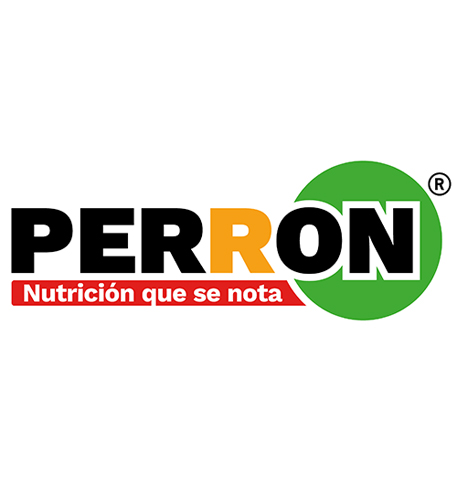 Croquetas Perron